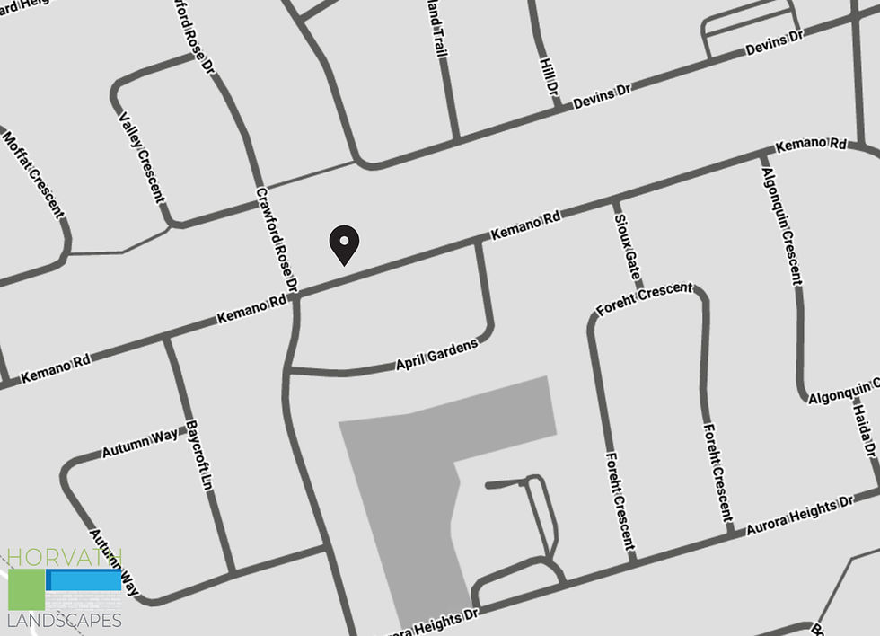 Backyard Renovation with Pool and Privacy Solutions – Aurora