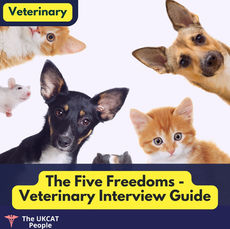 The Five Freedoms Of Animal Welfare