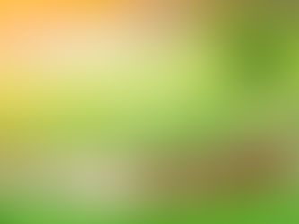 Benefits on Insuring Your Business