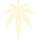SS Leaf light