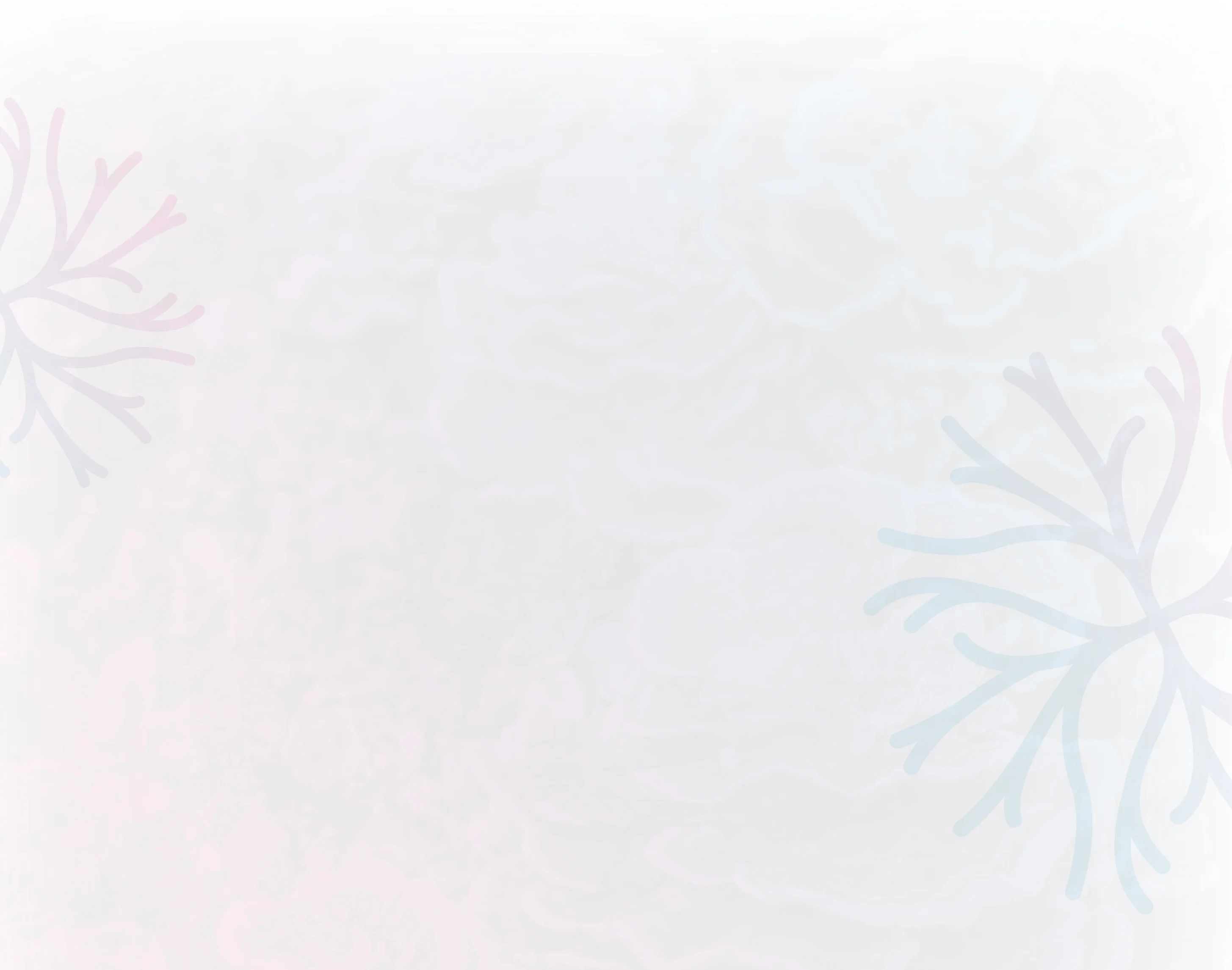 FONDO-1.webp