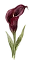 cartucho.jpg.webp