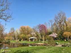 Locations Amiens - gîtes Au-delà des Saules dans les Hortillonnages