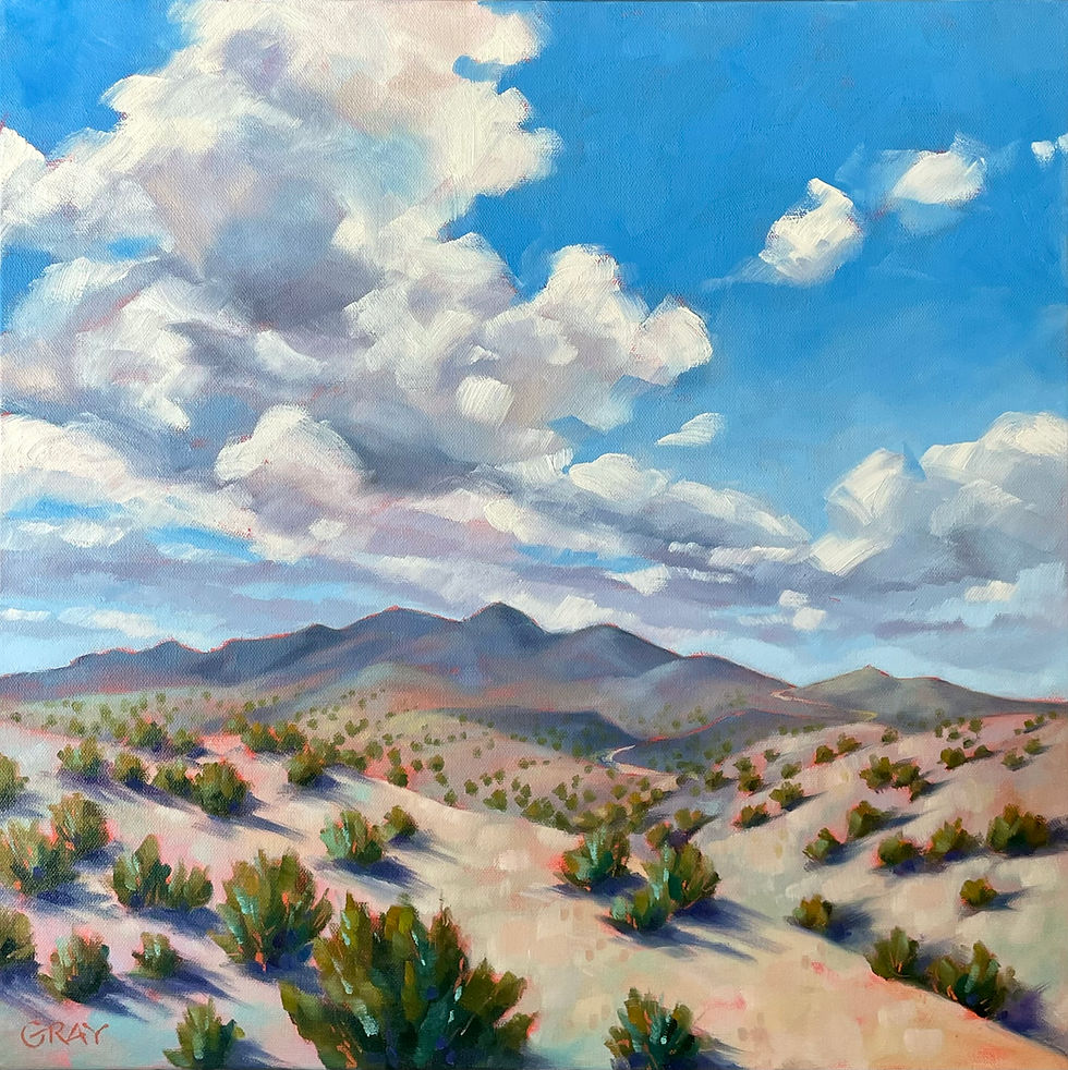 Cerrillos Hills Vista
