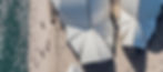 SOH_HEADER02.jpg