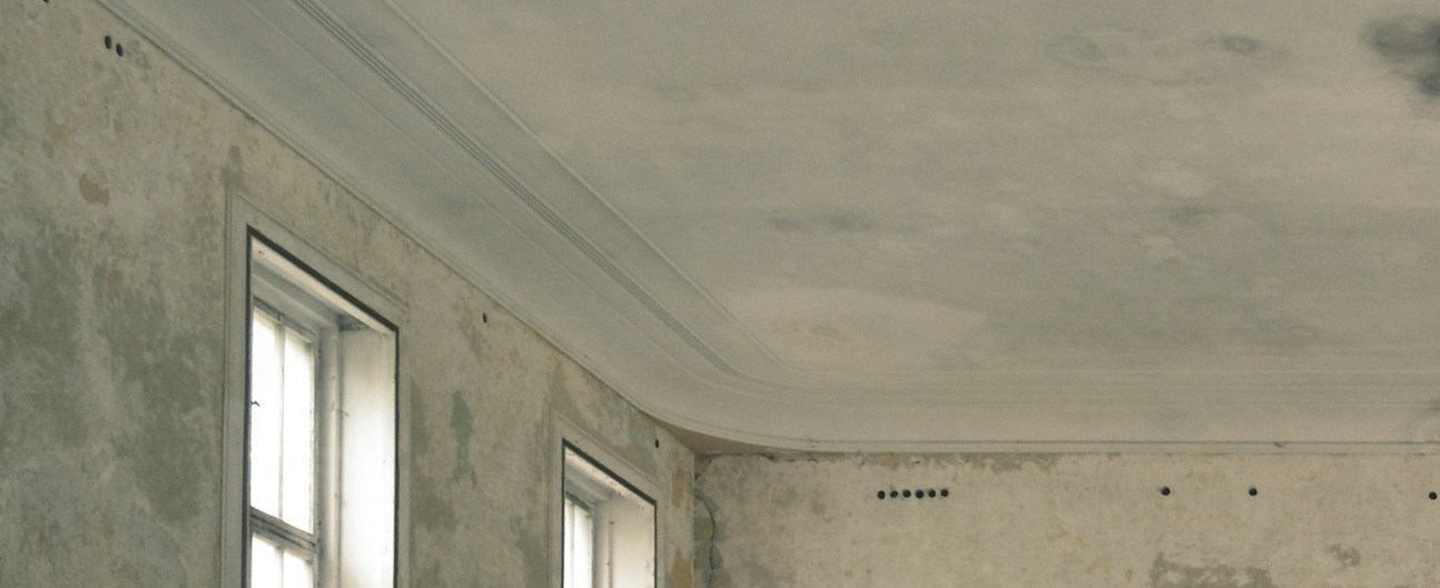 Water Damage Repair