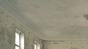 Water Damage Repair