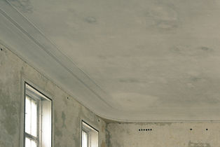 Water Damage Repair