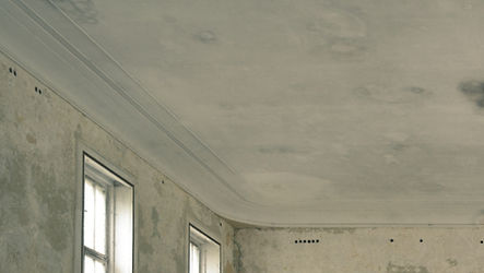 Water Damage Repair