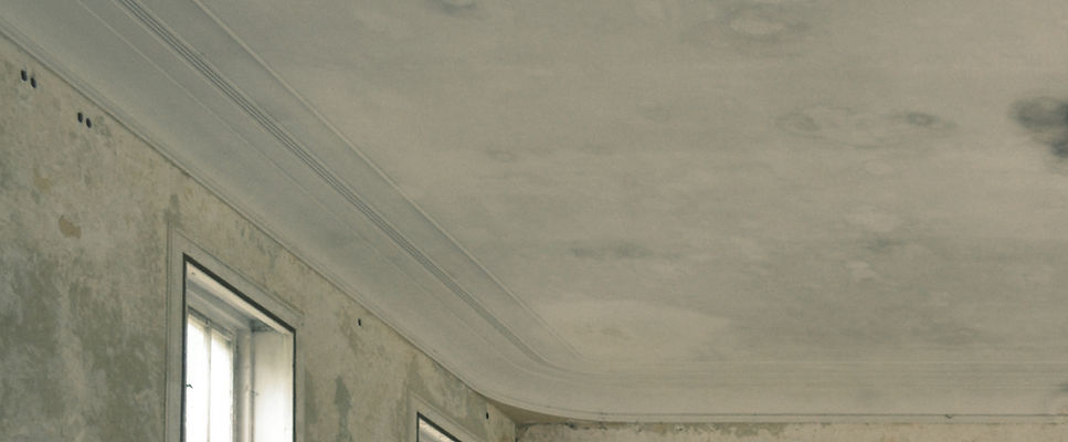 Room covered in mould