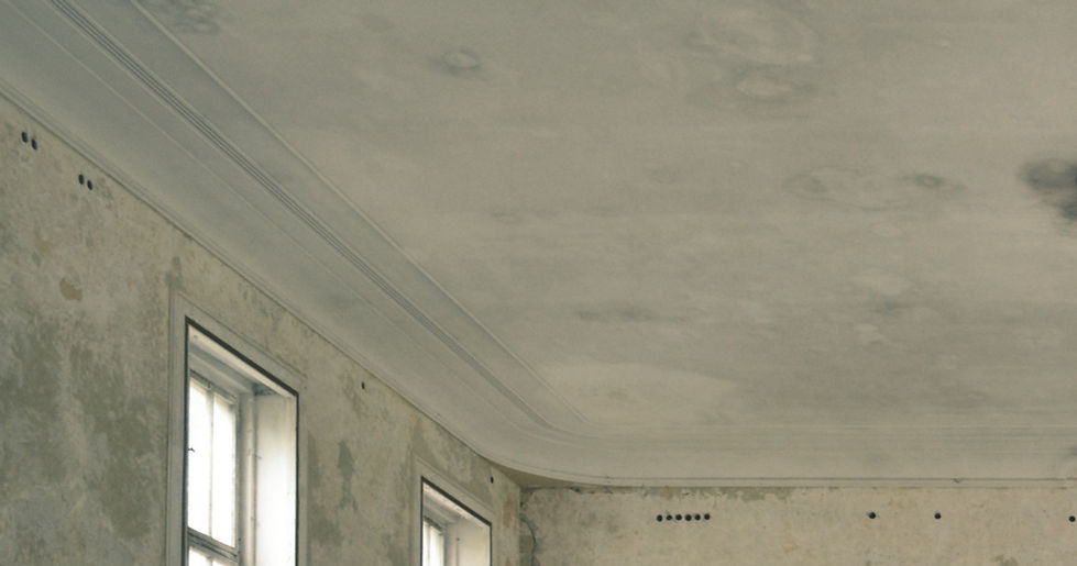 Water Damage Repair