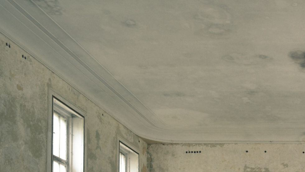 Water Damage Repair