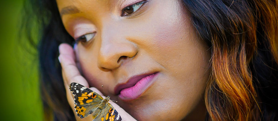 The Butterfly Effect 
