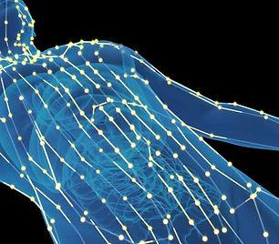 acupuncture meridian.jpg