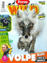 07_Focus-Wild_cover.jpg