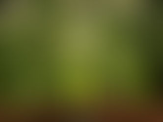 Una historia sobre PERSEVERANCIA