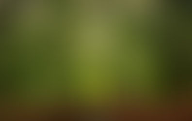 Una historia sobre PERSEVERANCIA