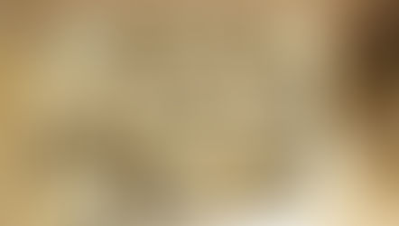 じゃがいもをいただきました