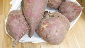 さつまいもをいただきました