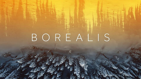 Borealis (3).jpeg