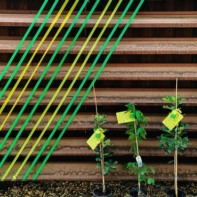 Closeup of 3 trees from RETREEWPG