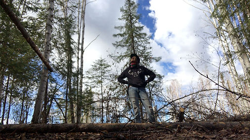 Amongst the Birch.jpeg