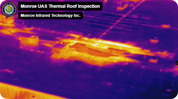 Roof Survey