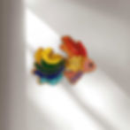 pez-koi-multicolor.jpg