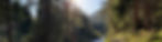 Natur der bayerischen Alpen mit Wald, Gebirgsbach und Sonnenlicht – Inspiration für WildFrost.