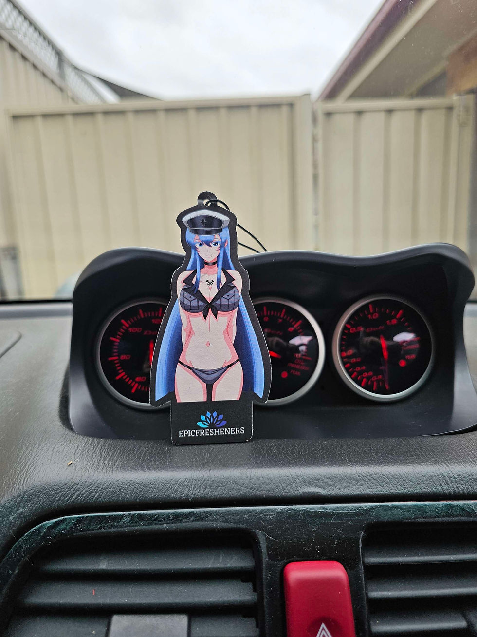 Thumbnail: Waifu Freshener Bundle #5