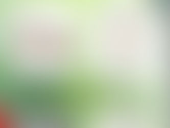 Jewelry Quartet vol.6のご案内