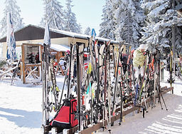 Ski Stand