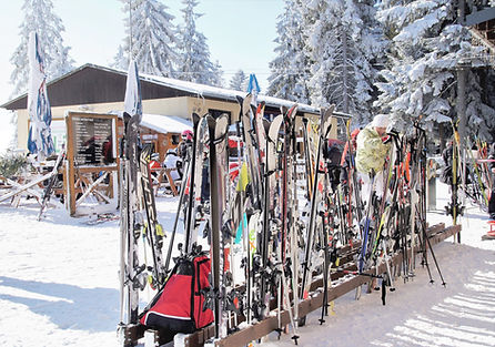 Ski Stand