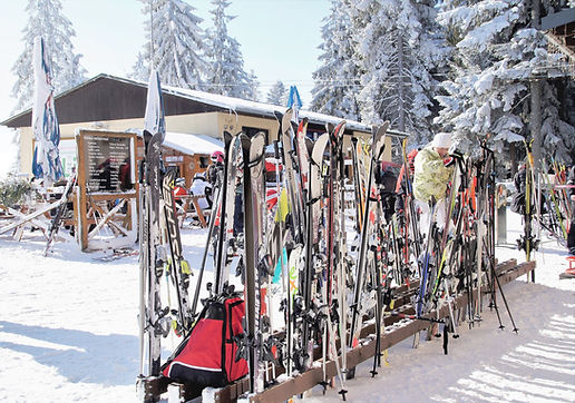 Skiständer