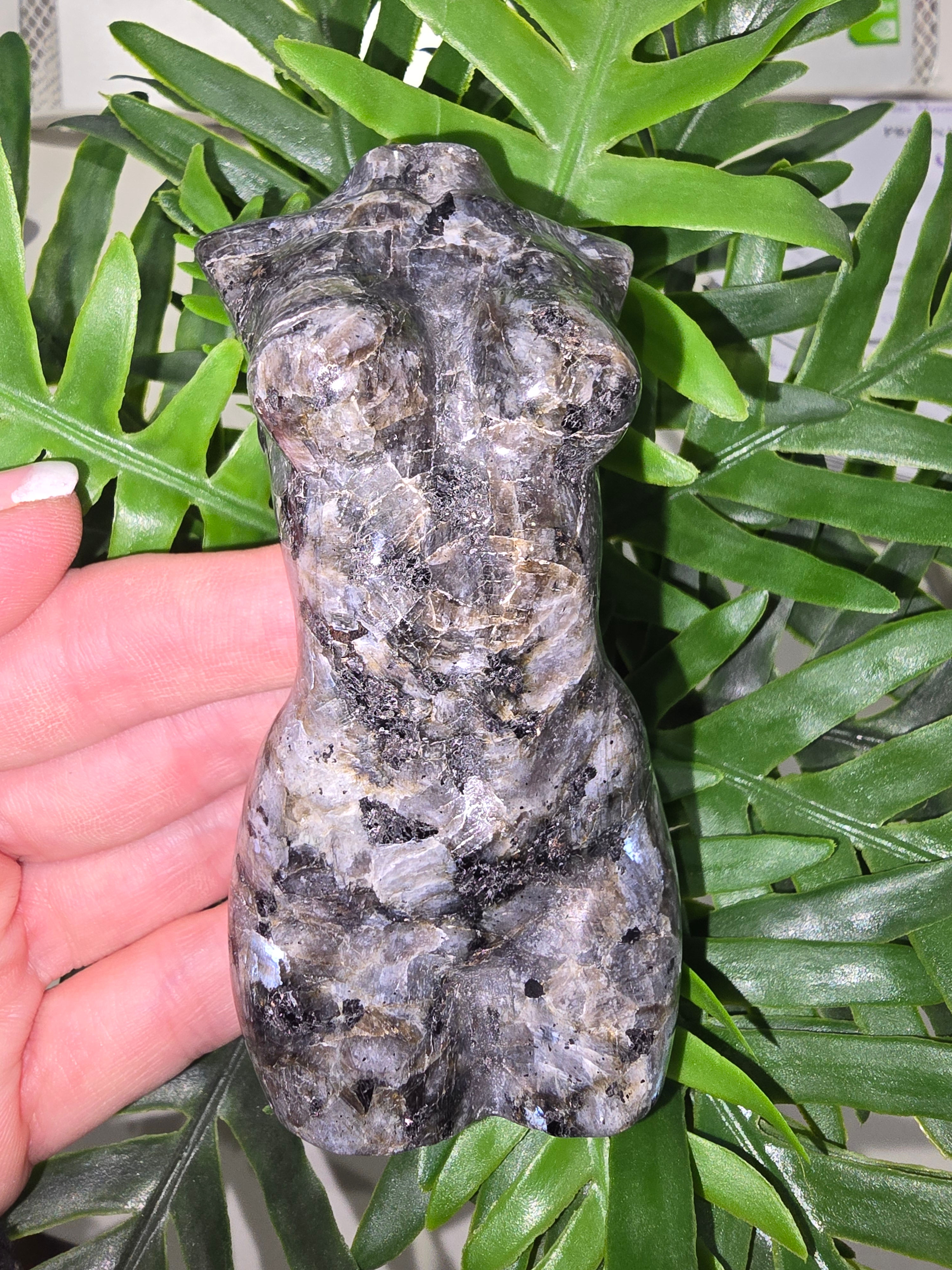 Larvikite Female Body
