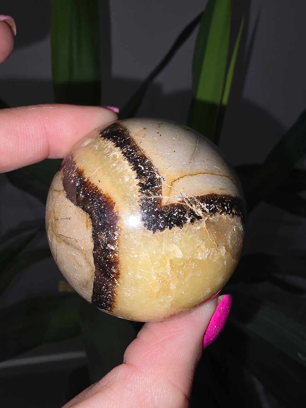 Thumbnail: Septarian Spheres