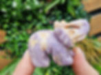 Thumbnail: Elephant Carvings 
