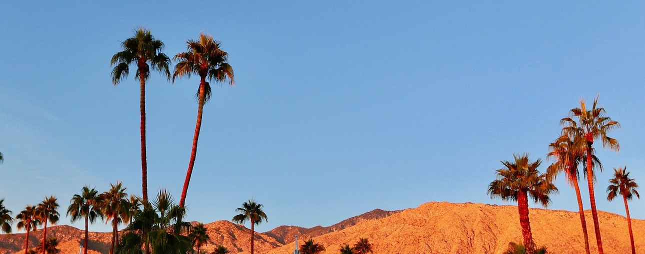 the_marley_hotel-palm_springs-331.jpeg