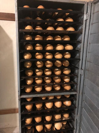 FORNO3.jpeg