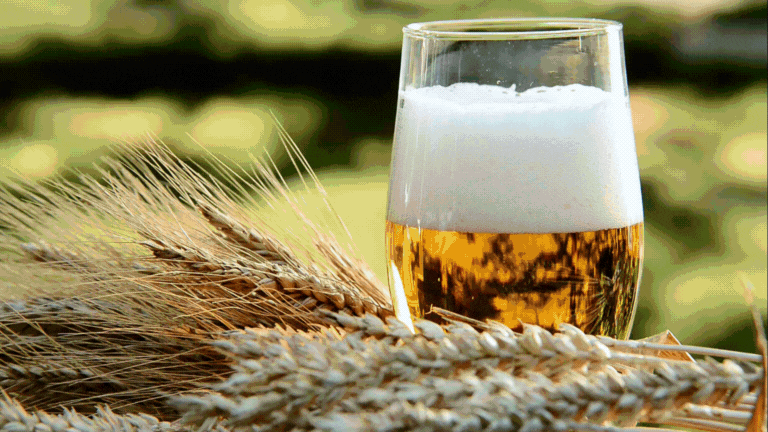 Untitled design (15).gif