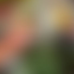 Top 5 Nutrients for Sperm Health