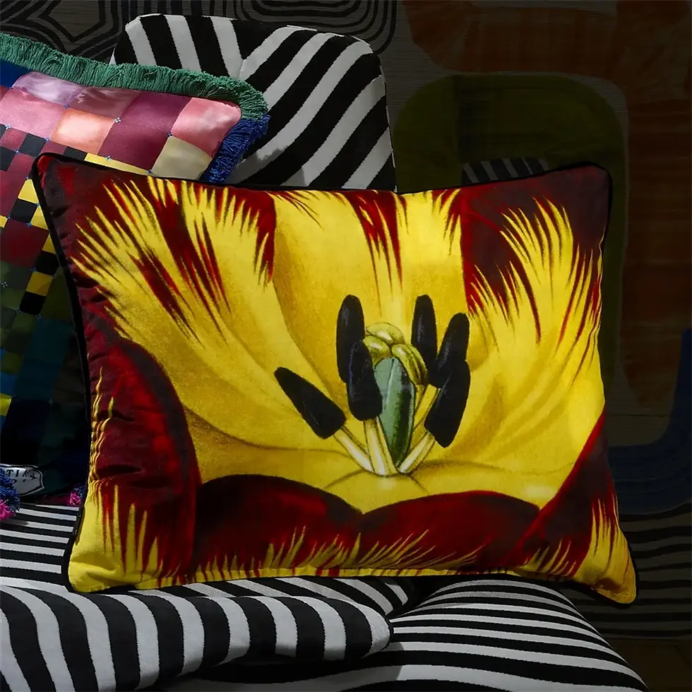 Thumbnail: christian lacroix, pillow