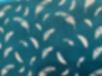 Thumbnail: Teal & White Feathers