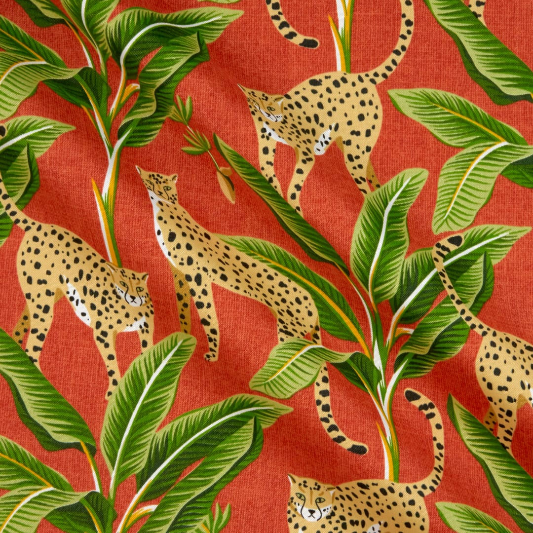 Truly the best ! cheetah -outdoor - 54 "