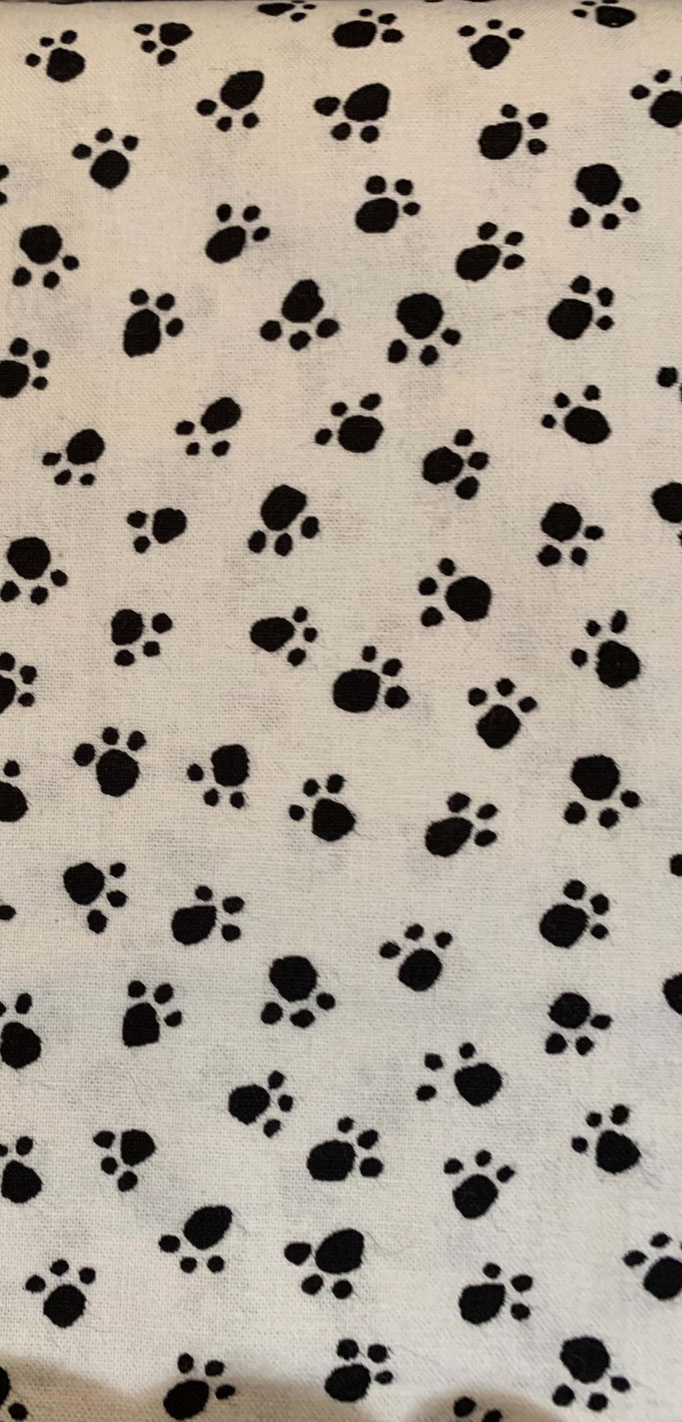 Black Paws on white background