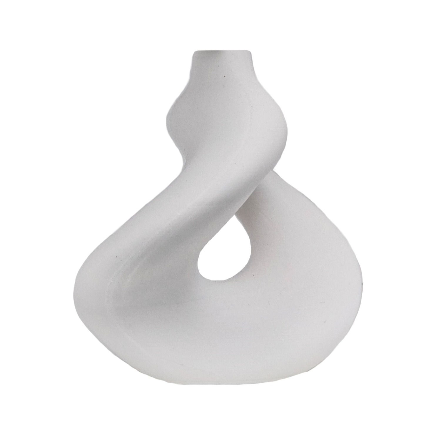 EV-Twist Vase for Dried Plants