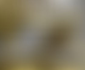 Galette des Rois 2026 