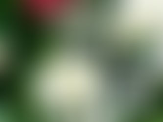 One of two special farewells.