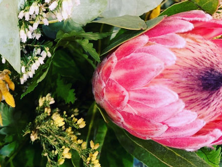 Beautiful natives in this arrangement.