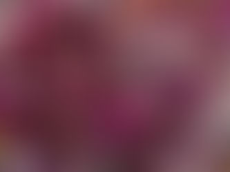 The end result of drying rose petals for confetti. So pretty, great in photos, strong colours.x